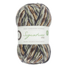Signature 4 Ply Sock