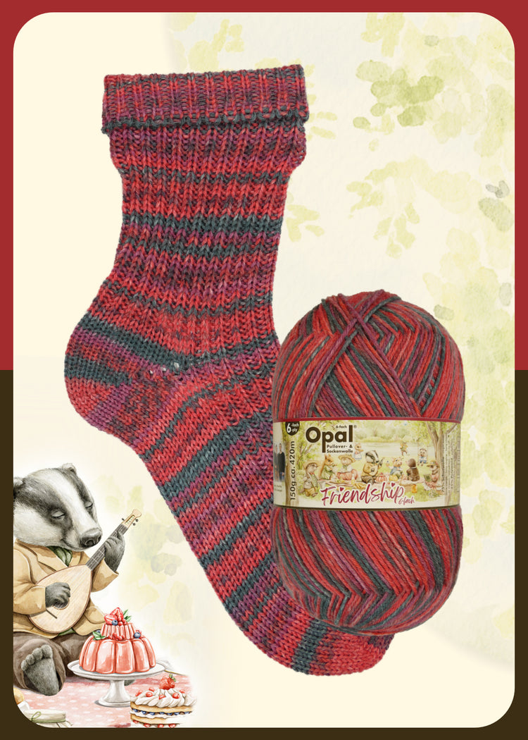 Opal Friendship 6 Ply (DK)