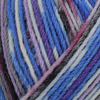Regia  Arne & Carlos 4 Ply Sock Yarn