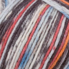 Regia  Arne & Carlos 4 Ply Sock Yarn