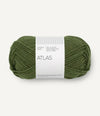Atlas