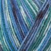 Regia  Arne & Carlos 4 Ply Sock Yarn