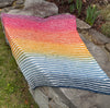 Sliding is Fun Baby Blanket