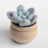 Mini Needle Felting Kits