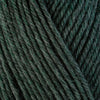 Ultra Wool Worsted